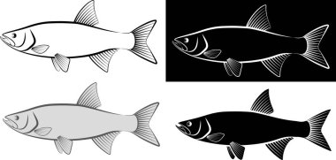 asp