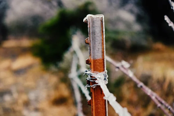 Winter Season Farm Shows Ice Fence Close Freezing Concept — ストック写真