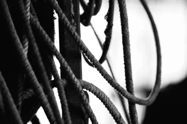 Rodeo Roping Concept Shows Old Used Rope Closeup Black White — Stock Photo, Image