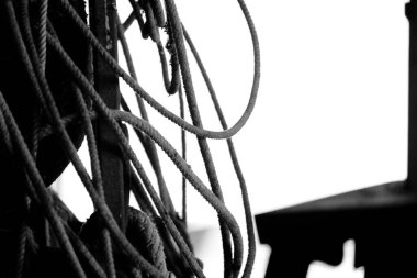 Rodeo endüstrisi konsepti için kullanılmış kement ipini kapat.