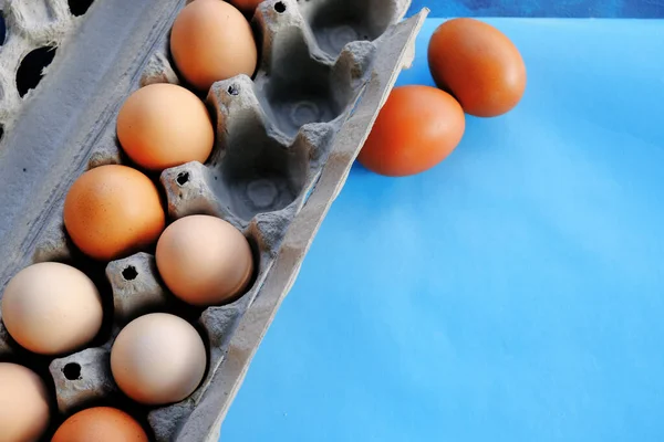 Εκμετάλλευση Νωπών Αυγών Χώρο Αντιγραφής Για Την Έννοια Πτηνοτροφίας — Φωτογραφία Αρχείου