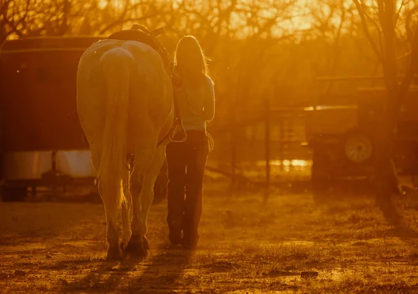 農場の西洋ライフスタイルは穏やかな夕日で馬と女性を示しています — ストック写真