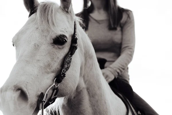 Vrouw Paardrijden Western Paardrijden Close Merrie Het Dragen Van Hoofdstel — Stockfoto