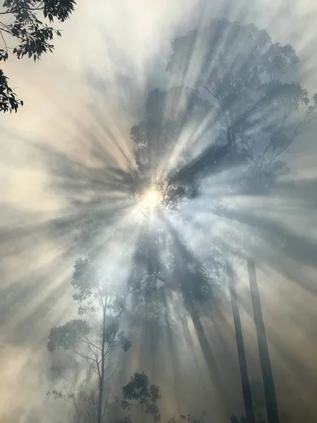 Fumaça Com Luz Solar Incêndio Austrália — Fotografia de Stock