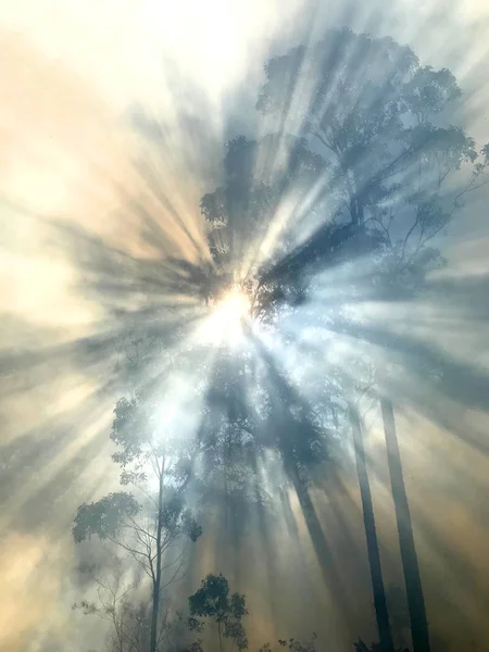 Fumaça Com Luz Solar Incêndio Austrália — Fotografia de Stock