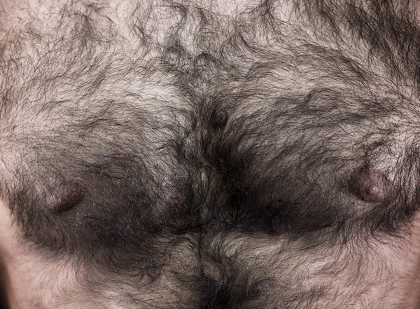 Мужская волосатая грудь — стоковое фото