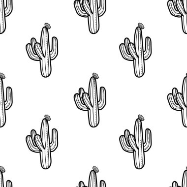 Kaktüs anahat tarzı beyaz arka plan üzerinde. Dikişsiz desen ve