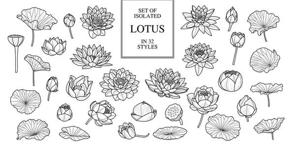 Sada izolované lotus v 32 stylu. Ručně kreslenou styl. Vektor osvětlení — Stockový vektor