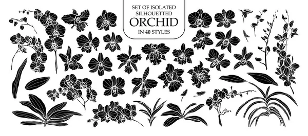 Verzameling van geïsoleerde silhouet orchidee in 40 stijlen. Schattig hand getrokken — Stockvector