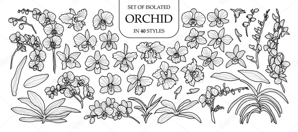 Set of isolated orchid in 40 styles. Cute hand drawn vector illu