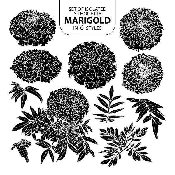 Set terisolasi siluet marigold dalam 6 gaya. Cute tangan digambar - Stok Vektor