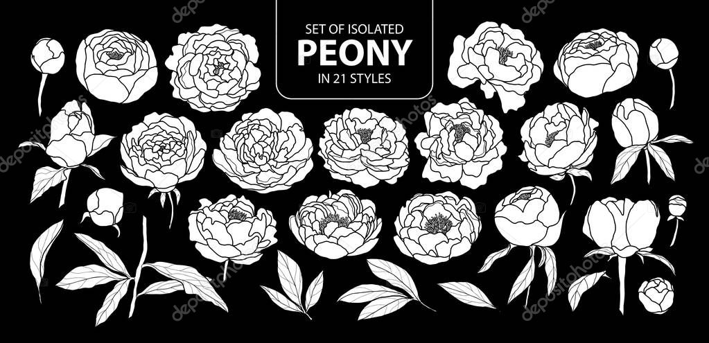 Set of isolated white silhouette peony in 21 styles. Cute hand d