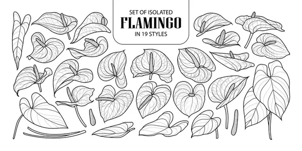 Set de Flamingo aislado en 19 estilos. Lindo mano dibujado flor ve — Archivo Imágenes Vectoriales