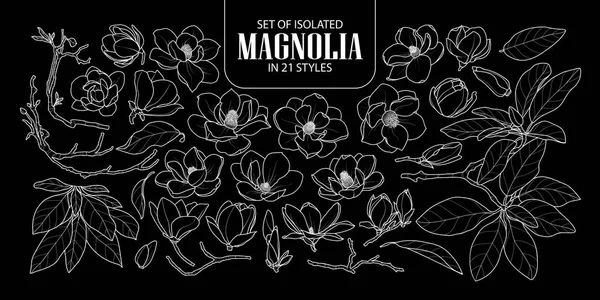 Verzameling van geïsoleerde magnolia in 21 stijlen. Schattig hand getekend bloem ve — Stockvector