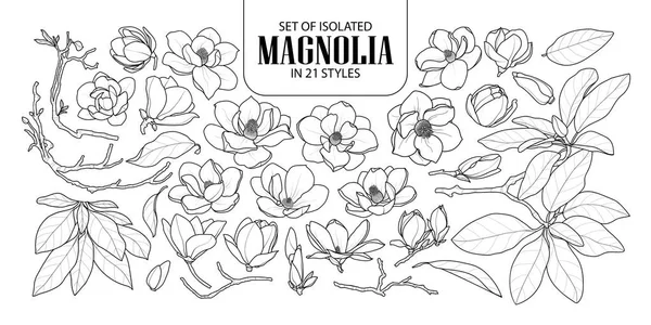 Verzameling van geïsoleerde magnolia in 21 stijlen. Schattig hand getekend bloem ve — Stockvector