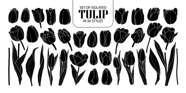 Set de silueta aislada Tulip en 30 estilos. Linda mano dibujada f — Archivo Imágenes Vectoriales