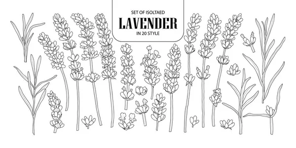 Isolierter Lavendel in 20 Stilen. niedliche handgezeichnete Blume ve — Stockvektor