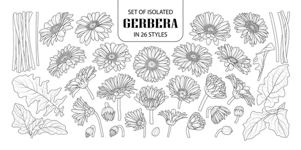 Conjunto de gerberas aisladas en 26 estilos . — Archivo Imágenes Vectoriales