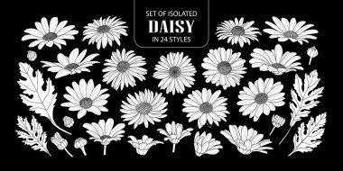 İzole beyaz siluet daisy 24 stilleri kümesi.