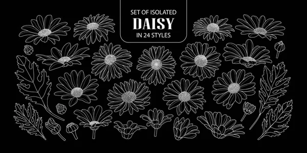 Set daisy terisolasi dalam 24 gaya . - Stok Vektor