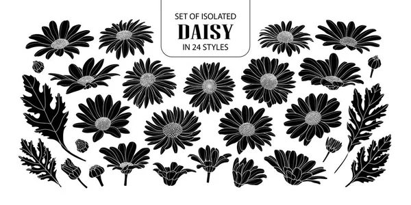 Set dari siluet daisy terisolasi dalam 24 gaya . - Stok Vektor