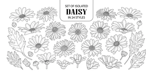 Set daisy terisolasi dalam 24 gaya . - Stok Vektor