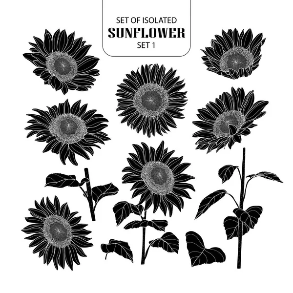 Download Set of isolated white silhouette sunflower set 2. — Stock ...