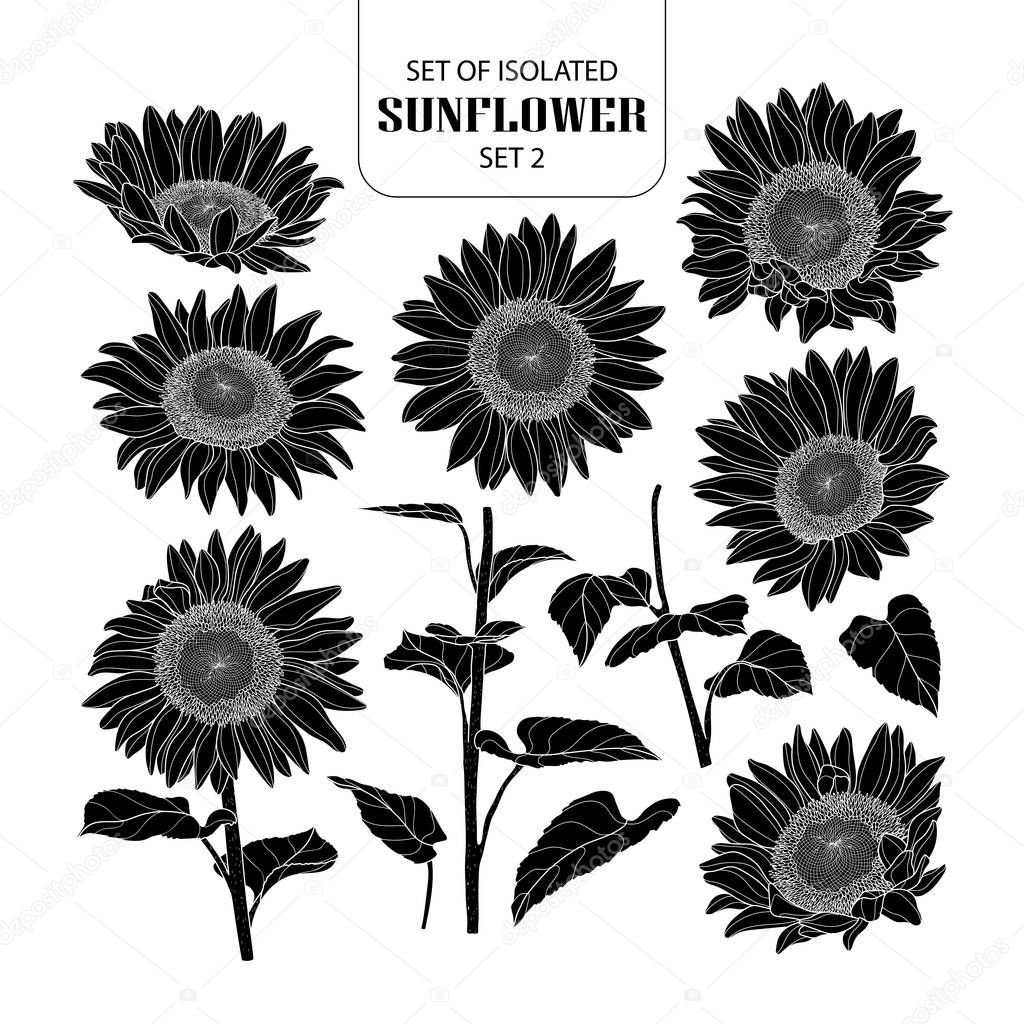 Set of isolated silhouette sunflower set 2.