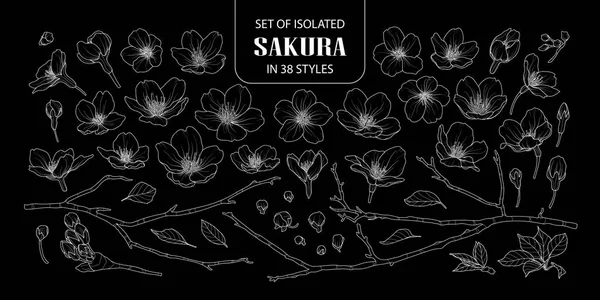 İzole sakura 38 stilleri kümesi.