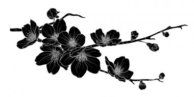 Şirin el çizilmiş silueti sakura şube 2 ayarla.