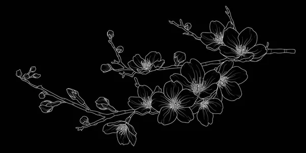 Niedliche Hand gezeichnet isolierte Sakura-Zweig Set 1. — Stockvektor