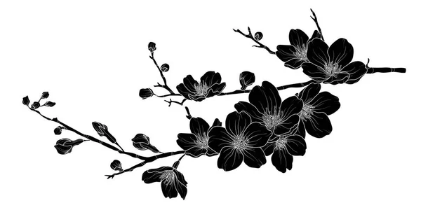 Şirin el çizilmiş silueti sakura şube 1 ayarla.