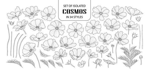 Ensemble de cosmos isolés dans 34 styles . — Image vectorielle