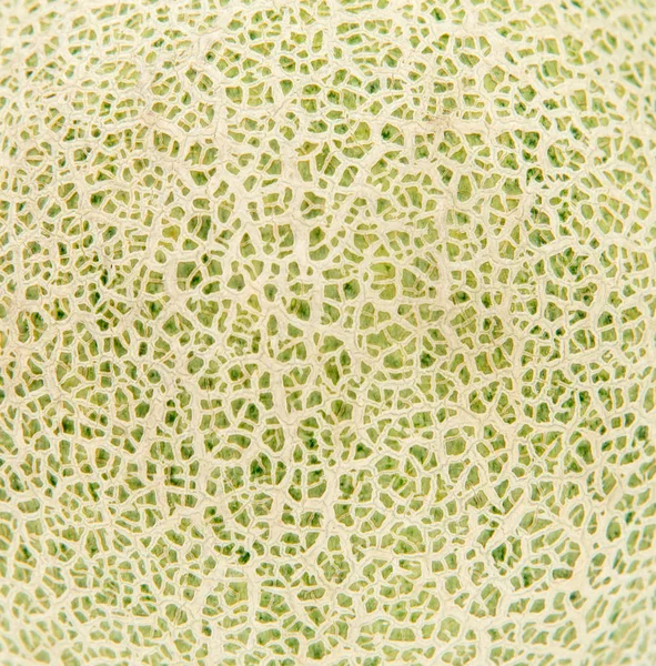 Décryptages Peau de melon cantaloup — Photo