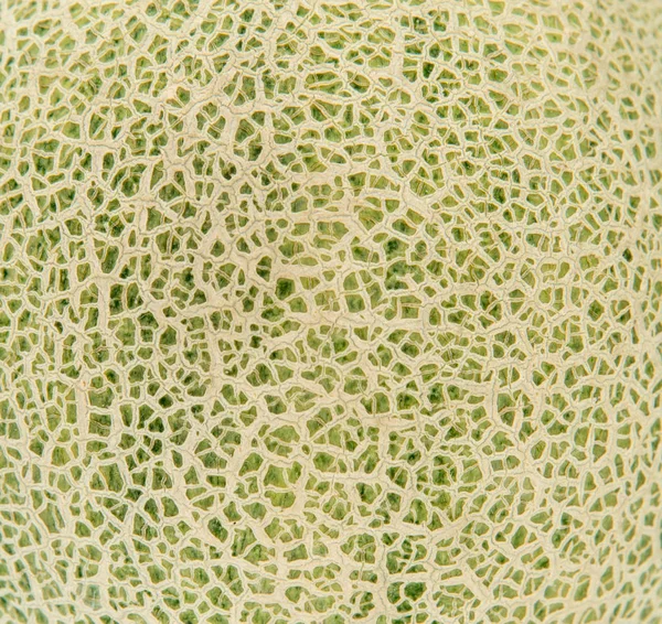 Décryptages Peau de melon cantaloup — Photo