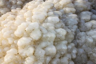 Dead sea kristal tuz İsrail closeup