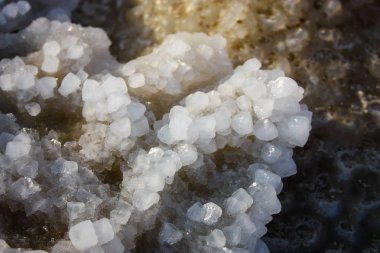 Dead sea kristal tuz İsrail closeup