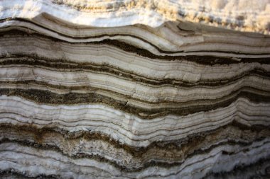 Dead sea kristal tuz İsrail closeup