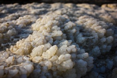 Dead sea kristal tuz İsrail closeup