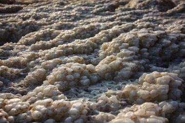 Dead sea kristal tuz İsrail closeup