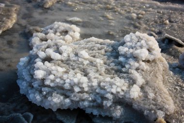 Dead sea kristal tuz İsrail closeup