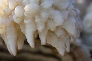 Dead sea kristal tuz İsrail closeup