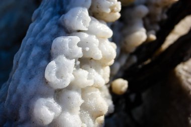 Dead sea kristal tuz İsrail closeup