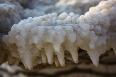 Dead sea kristal tuz İsrail closeup