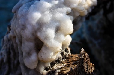 Dead sea kristal tuz İsrail closeup