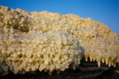 Dead sea kristal tuz İsrail closeup