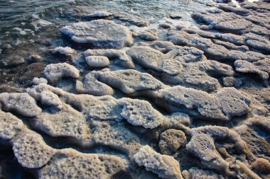 Dead sea kristal tuz İsrail closeup