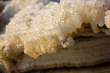Dead sea kristal tuz İsrail closeup