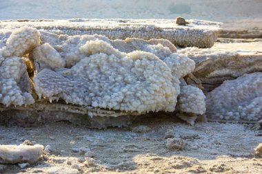 Dead sea kristal tuz İsrail closeup