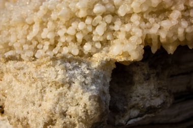 Dead sea kristal tuz İsrail closeup